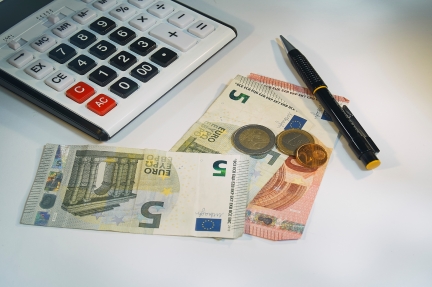 NO SE PODRÁ OPTAR A LA RENTA MÍNIMA SI SE SUPERAN LOS 100.000 EUROS DE PATRIMONIO FAMILIAR.